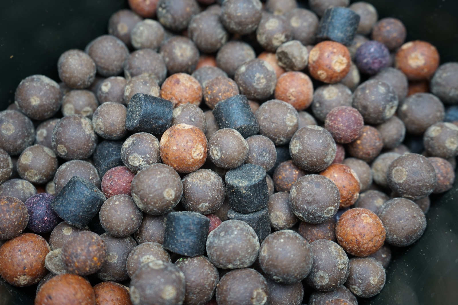Bunter Boilie-Mix mit Pellets im Eimer