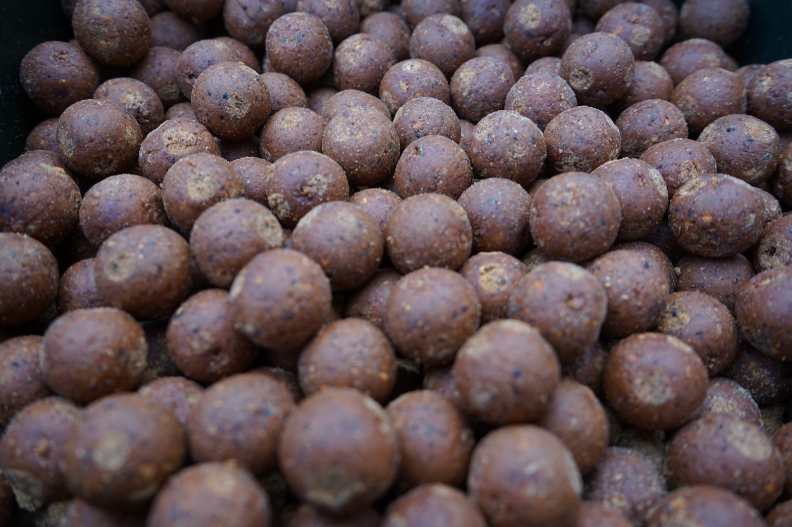 Dunkle Fischmehlboilies im Eimer