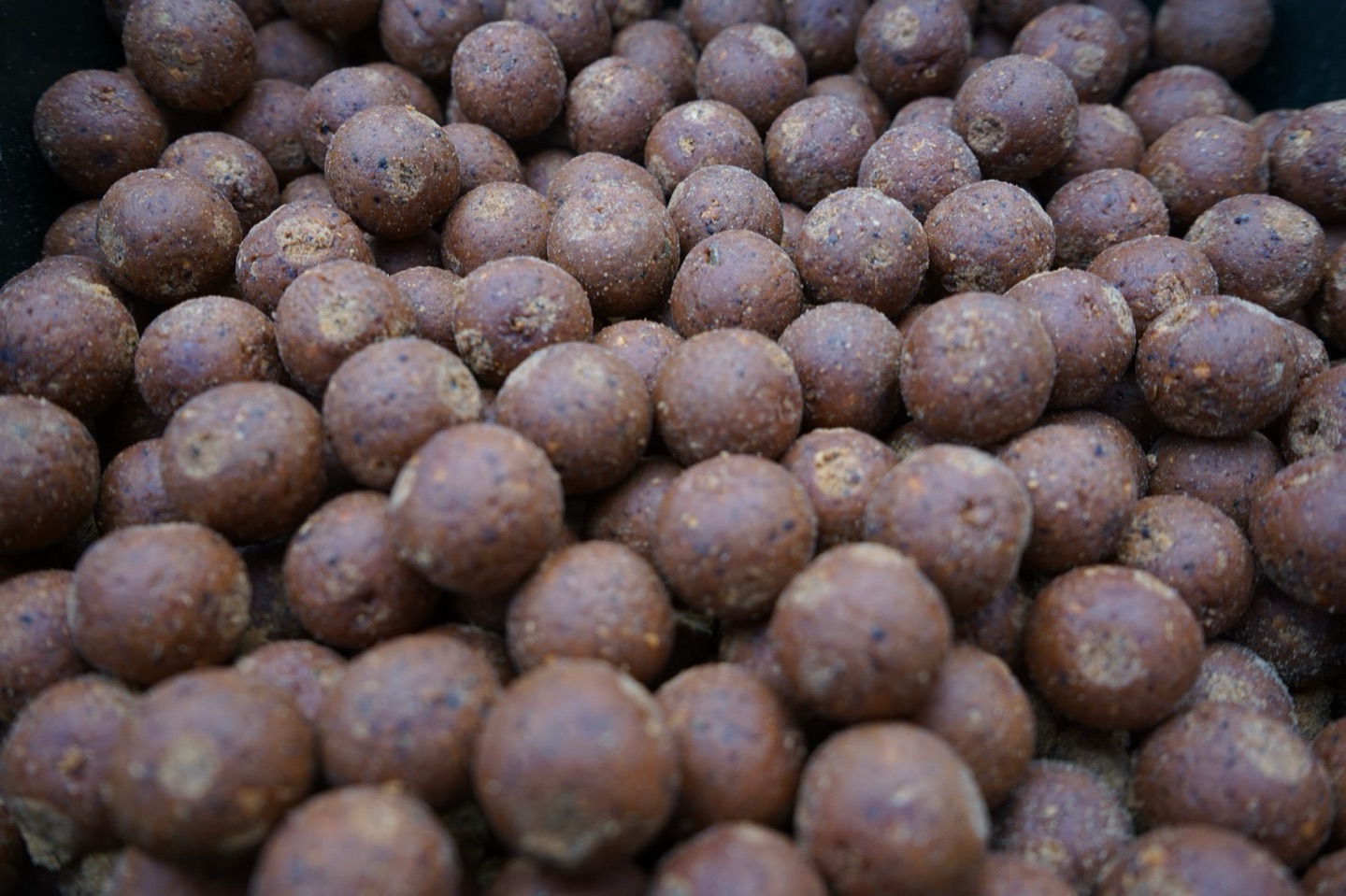Fischmehl-Boilies in verschiedenen Größen