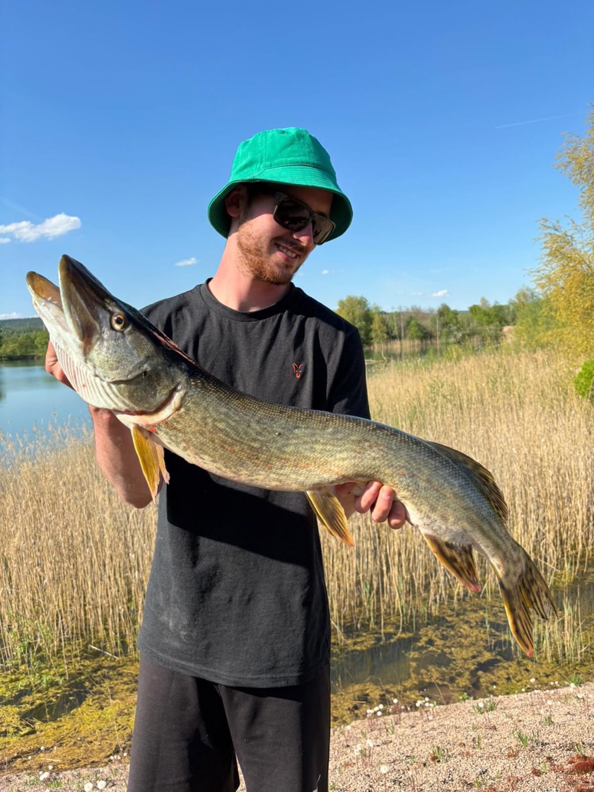 Hecht mit 85 Zentimetern, gefangen auf treibenden Köderfisch