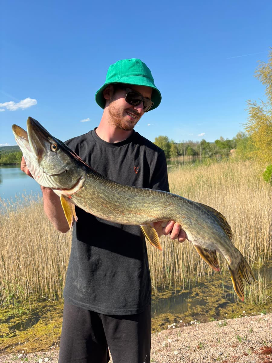 Angler hält einen Hecht vor dem Schilfgürtel