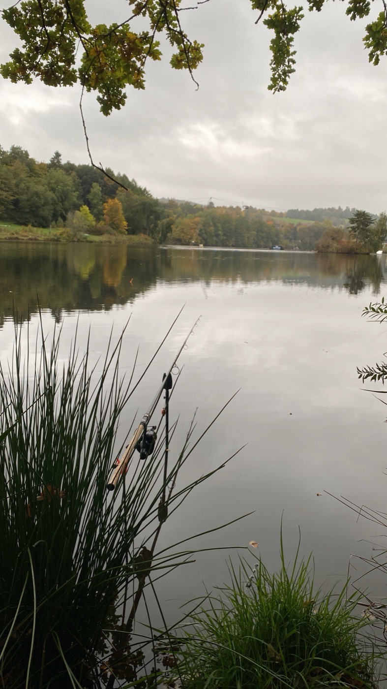 Herbststimmung am See, Rute im Schilf