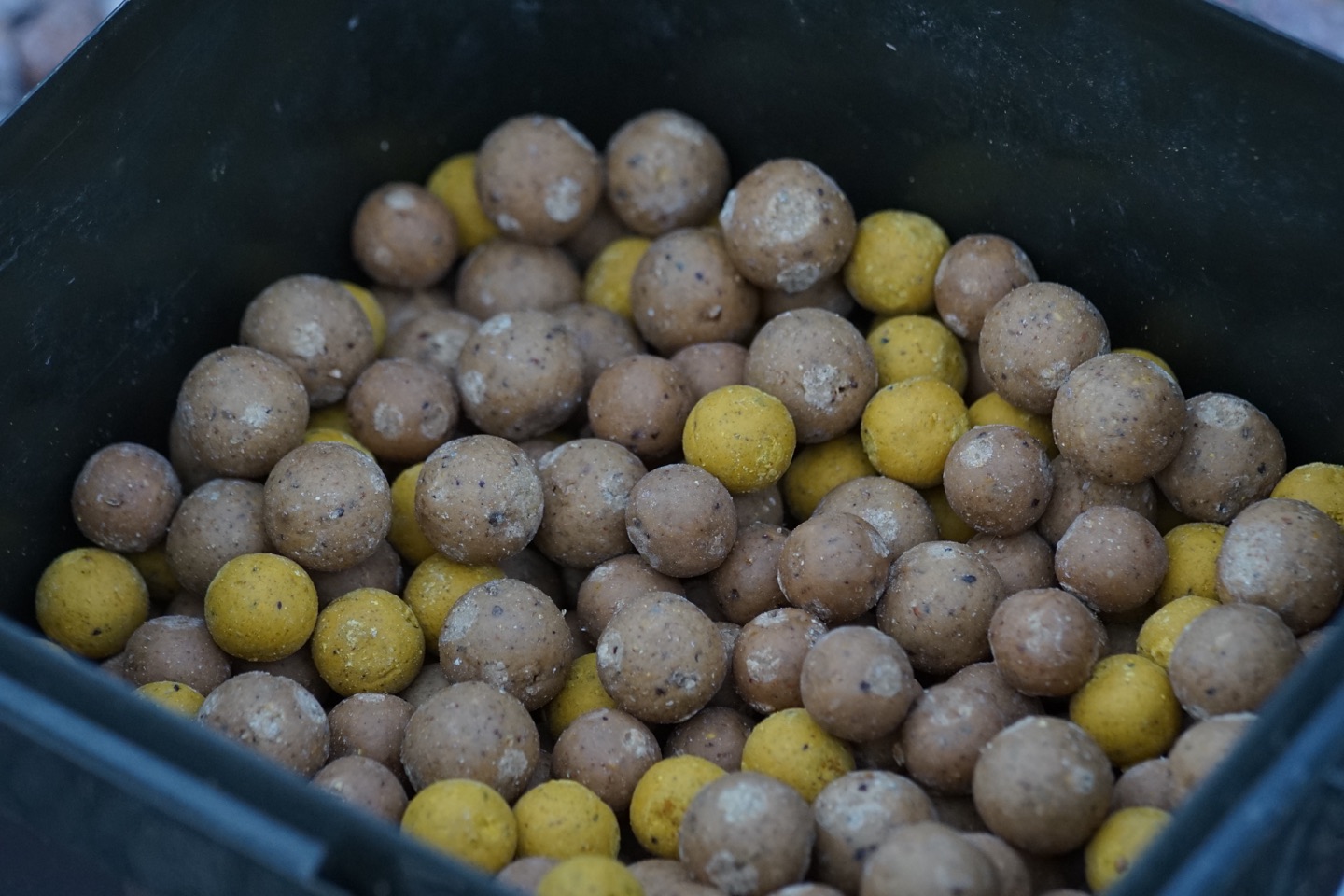 Helle Kohlenhydratboilies mit gelben Boilies gemischt im Eimer