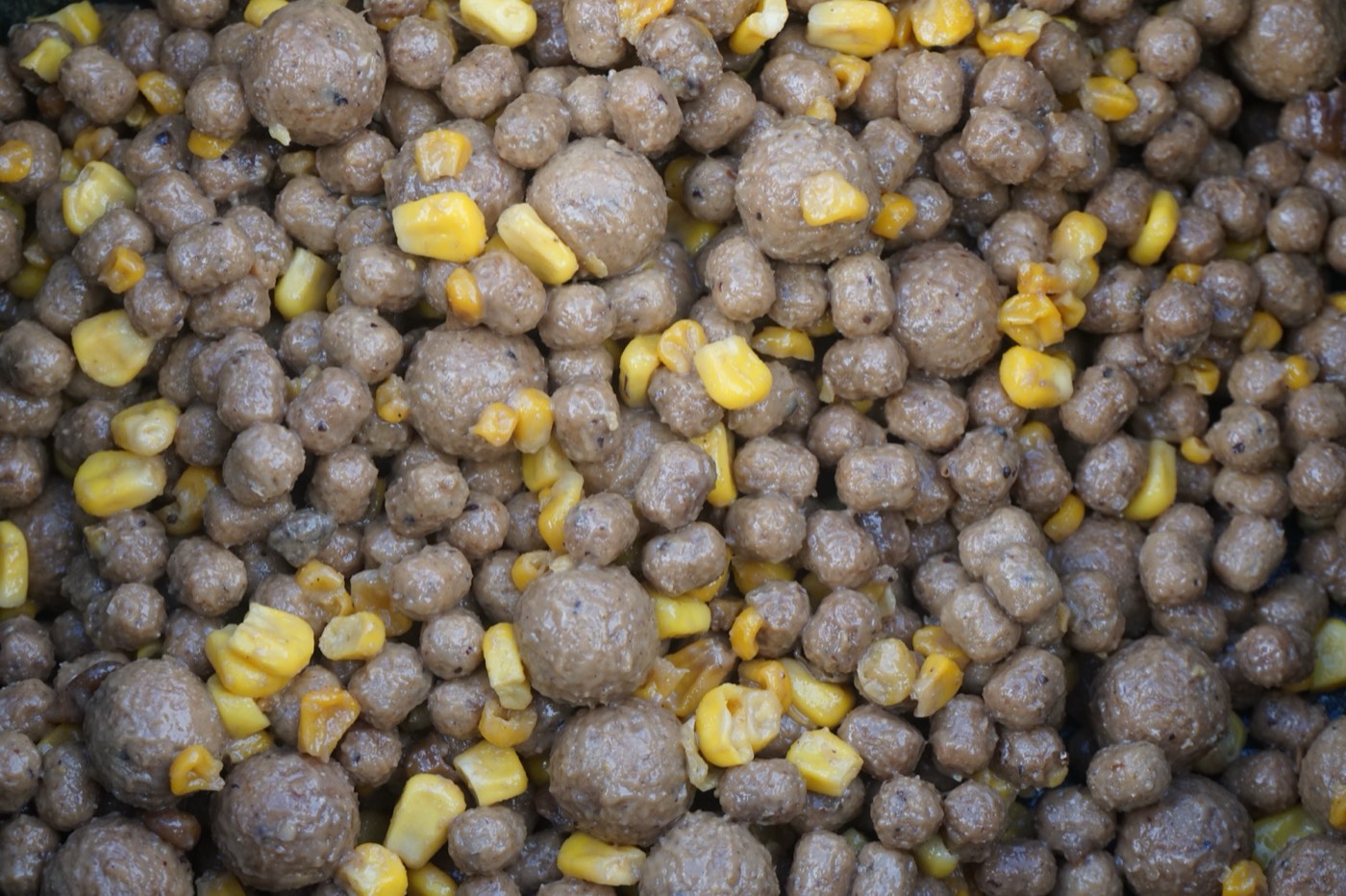 Gezielter Futtermix aus Boilies, Pellets und Mais