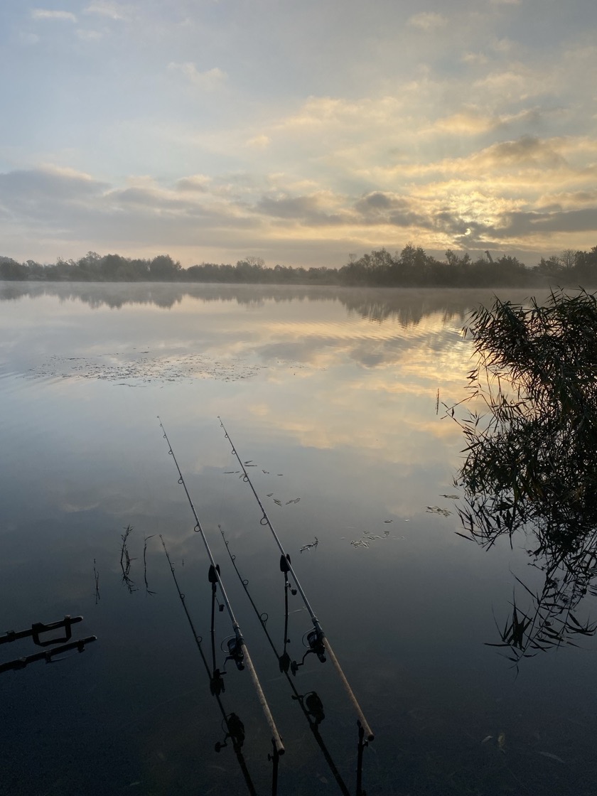 Drei Ruten am stehenden Gewässer in der Morgenstimmung