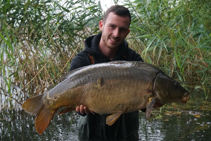 Spiegelkarpfen mit rund 19 Kilo