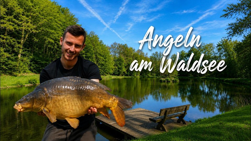 Karpfenangeln am kleinen Waldsee, Vorschaubild