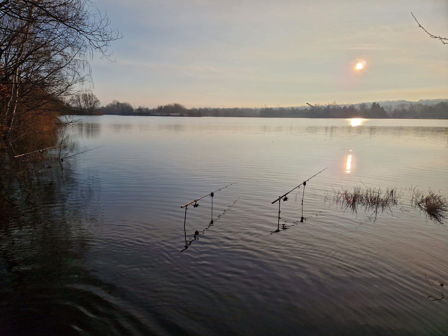 Ruten am ruhigen Wasser