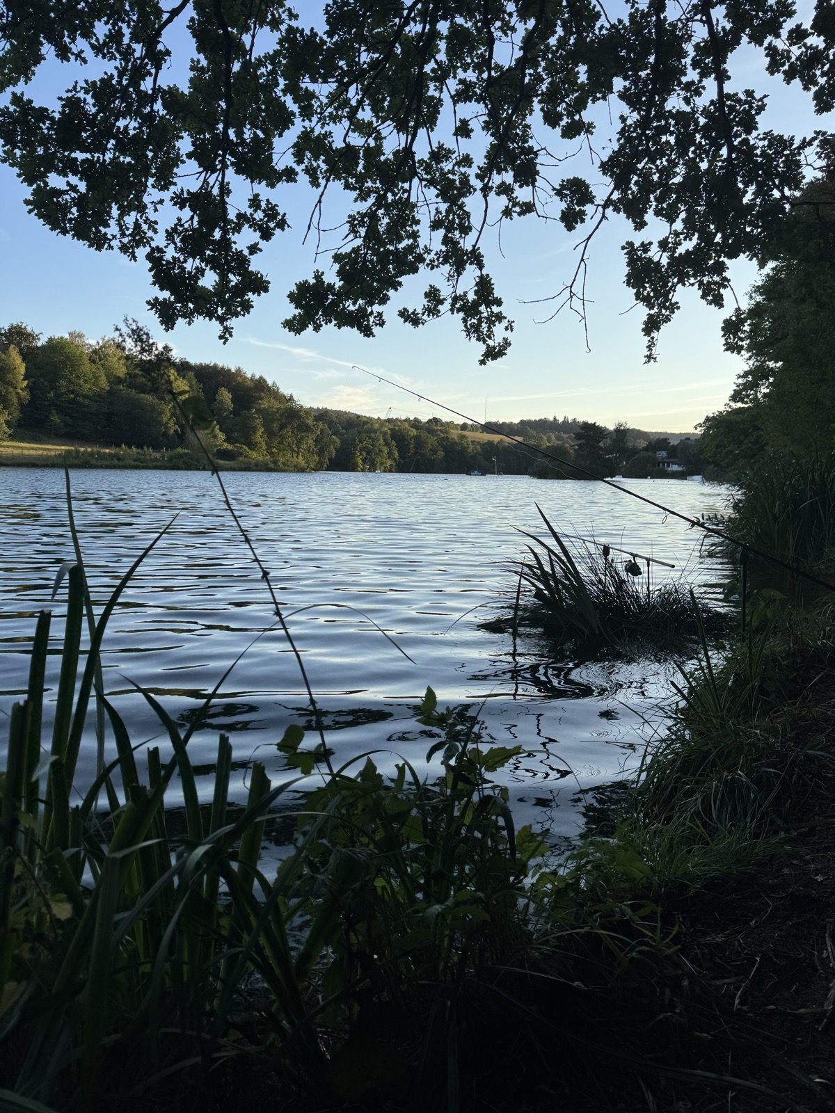 Wellen auf dem Baggersee, vom Wind ans Ufer gedrückt