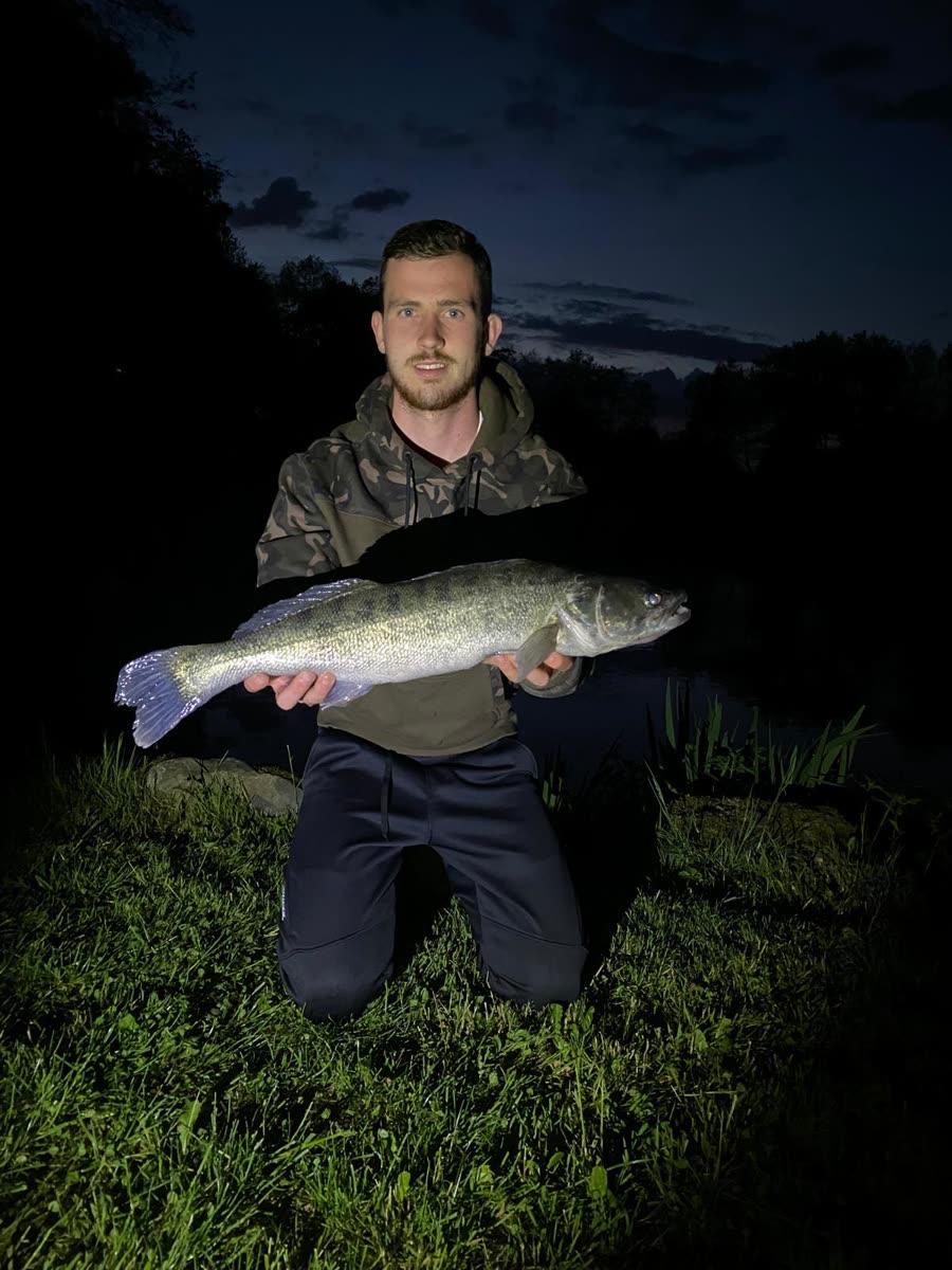 Angler mit einem Zander in der Abenddämmerung
