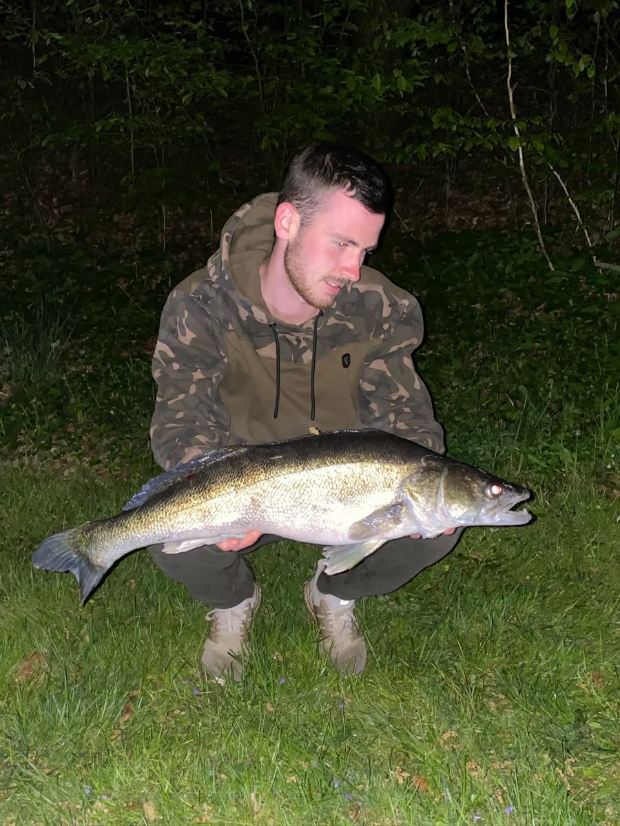 Angler kniet nachts mit einem Zander im Gras